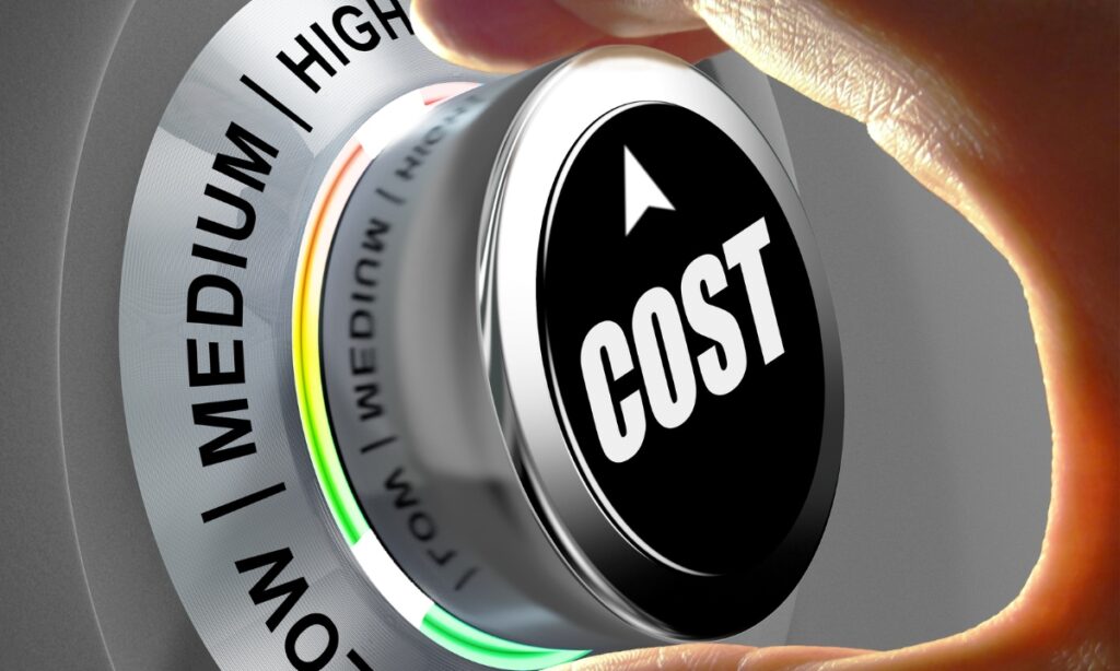 Co-managed IT Solutions Often Lead To Reduce IT Costs