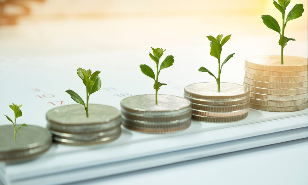 a graduating line of coins with small plants growing on them